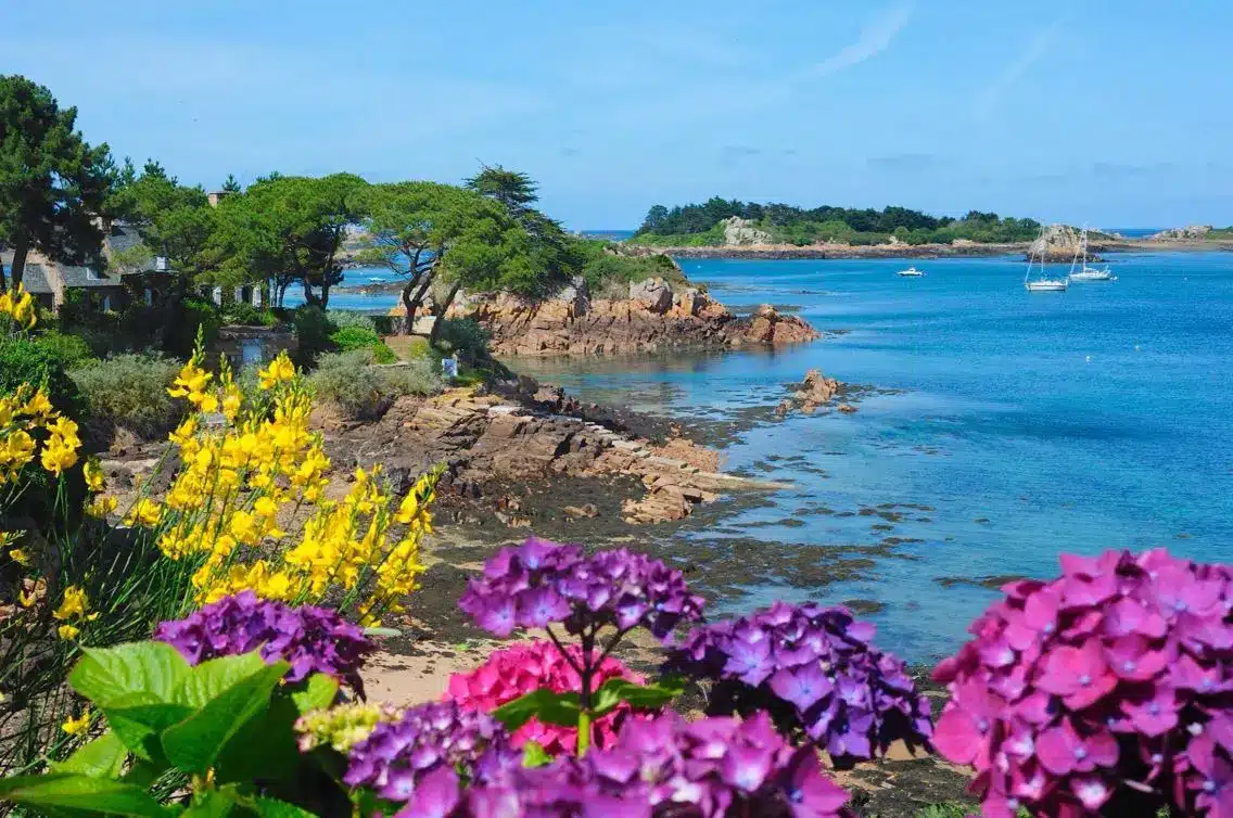 inspiration fleurs paysagisme bréhat