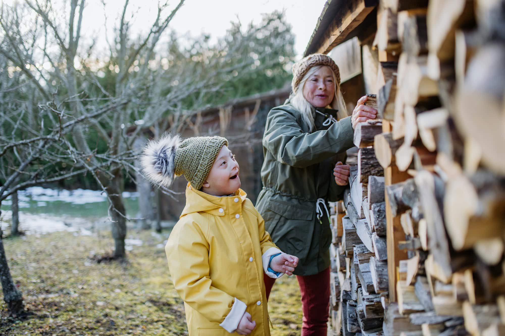 Taille arbuste hiver