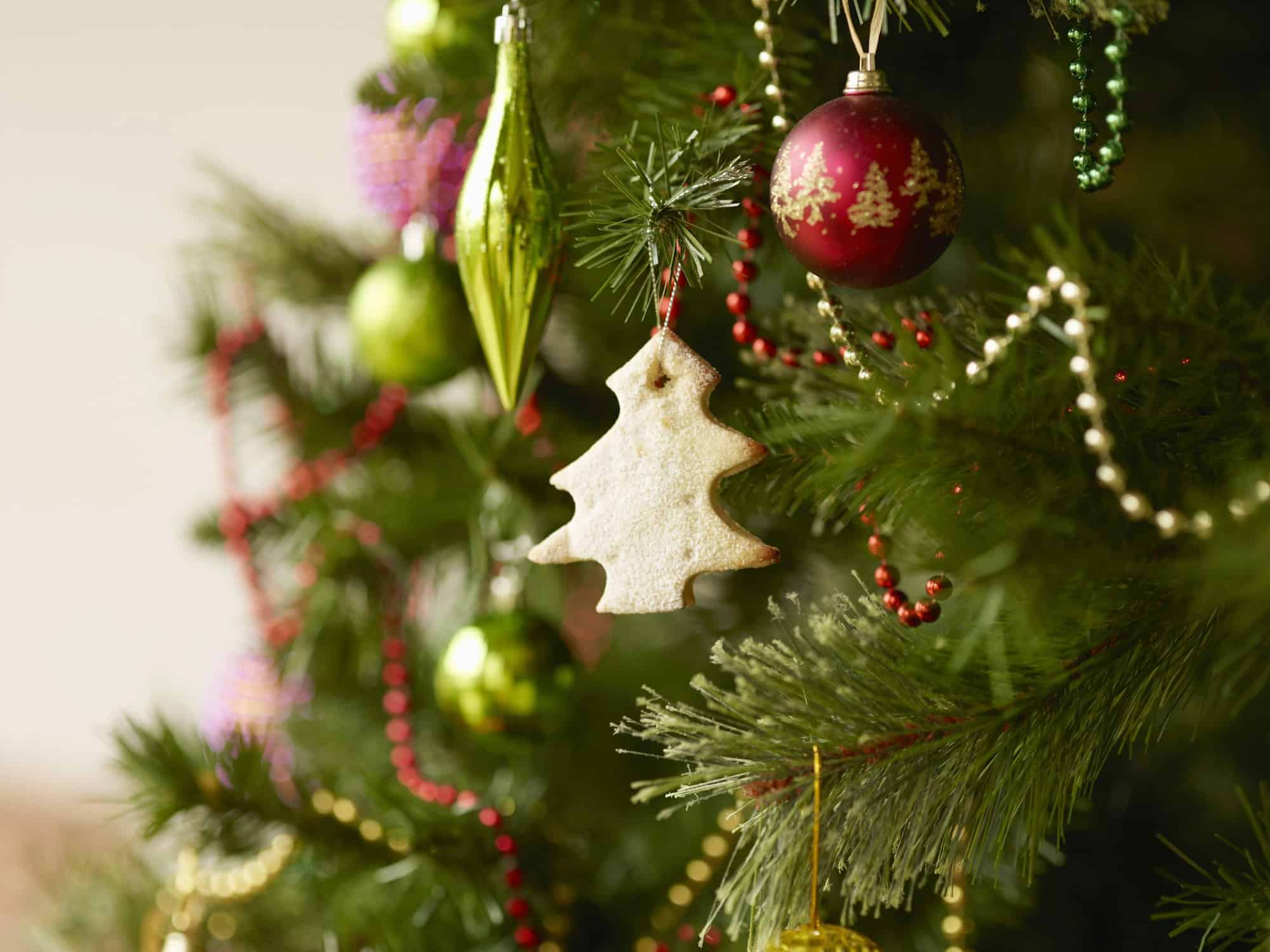 Sapins naturels ou sapins synthétiques ? Choisir le bon sapin pour Noël et après les fêtes