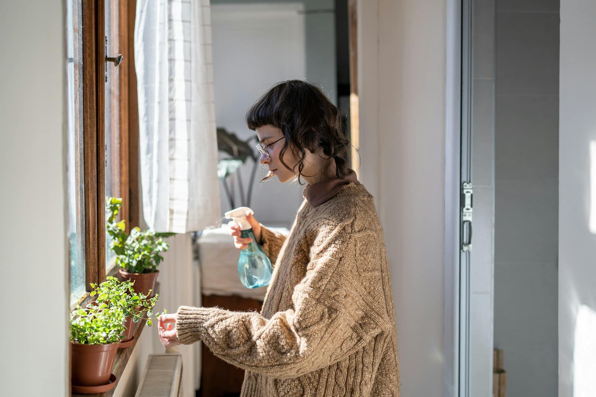 L’arrosage des plantes d’intérieur en hiver