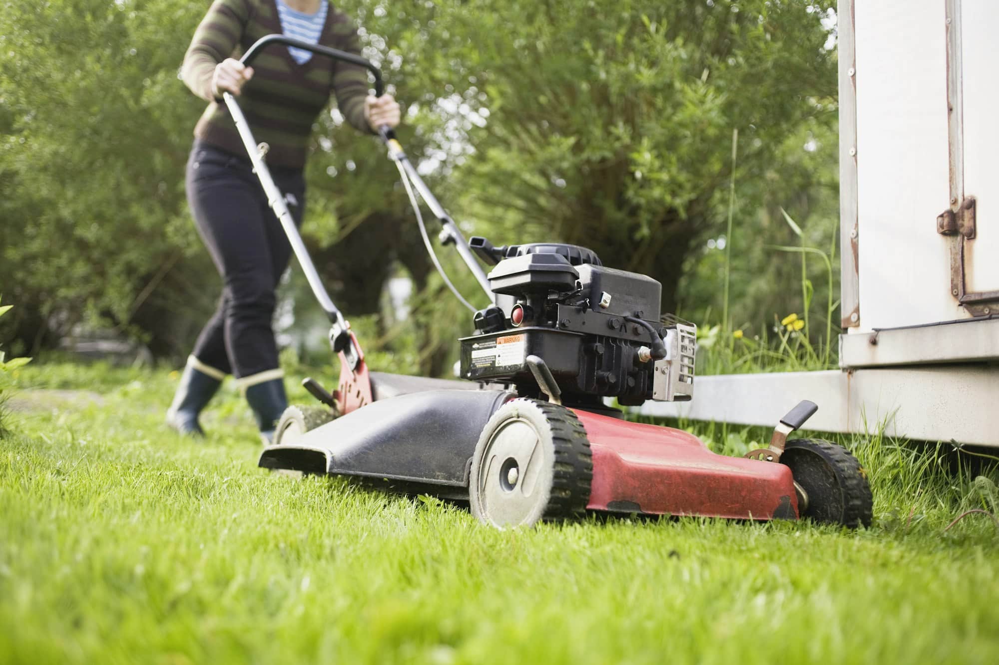 mulching pelouse