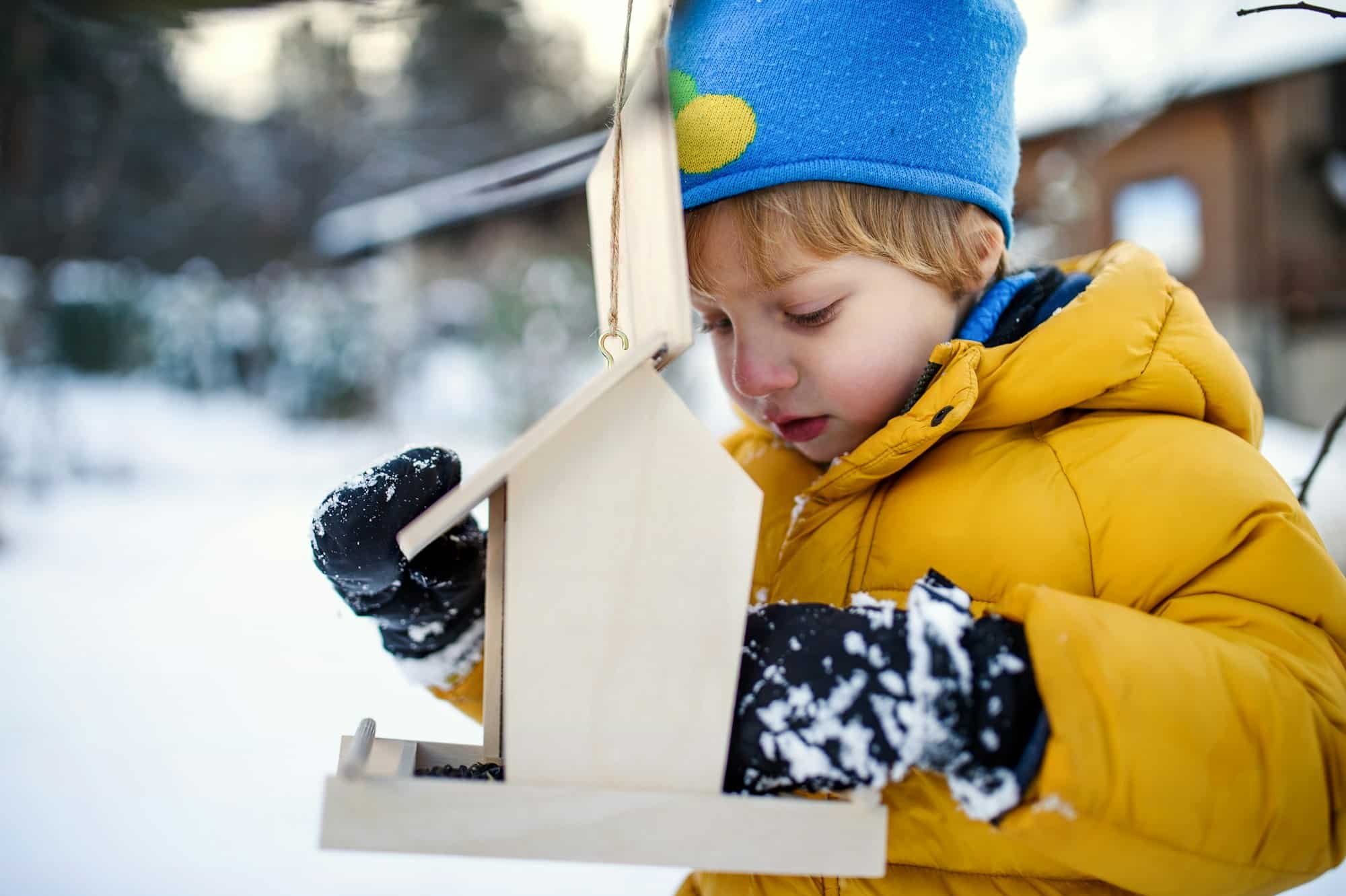 Nourrir les oiseaux hiver