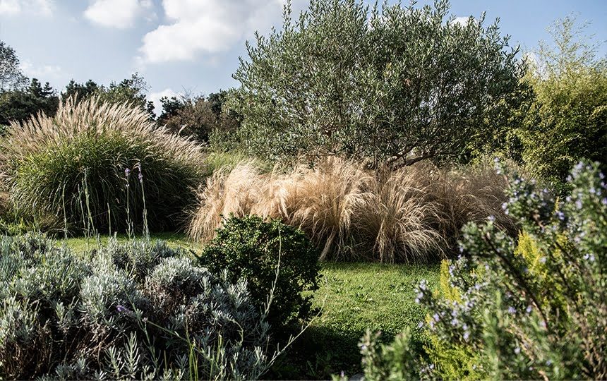 jardins-3
