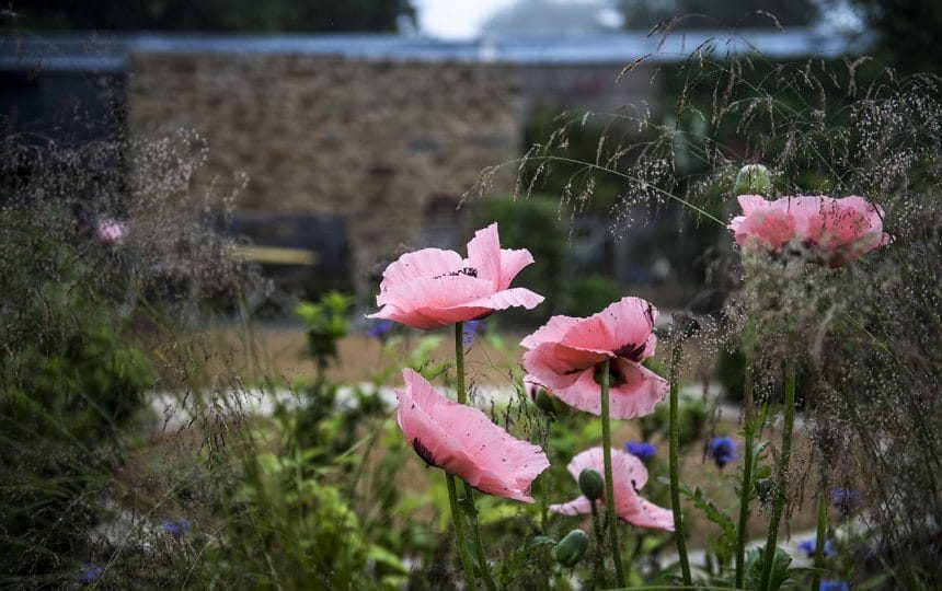 jardins-4