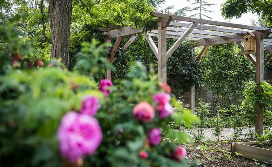 pergola-2