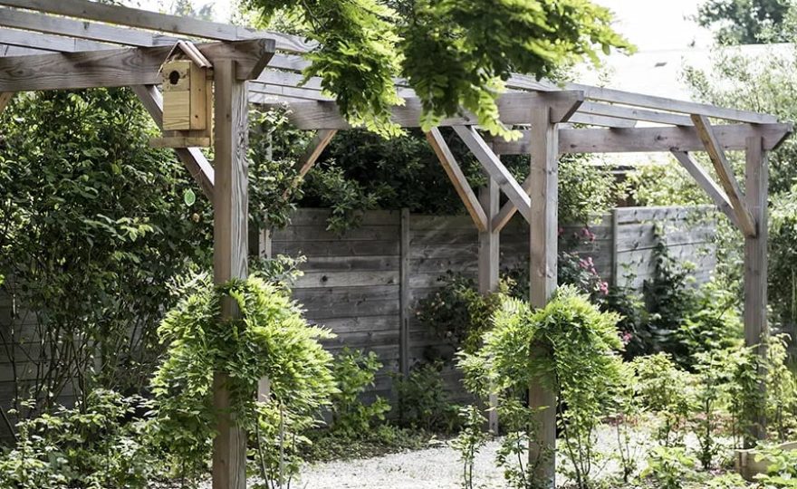 pergola-3