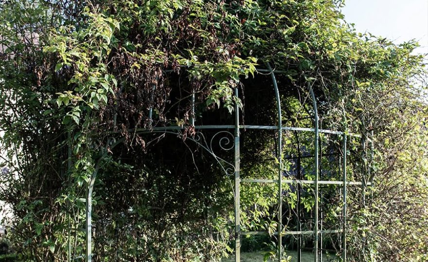 pergola-4